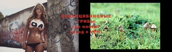 метадон Покачи